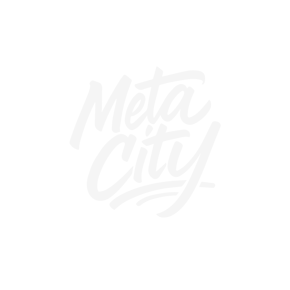 Meta City